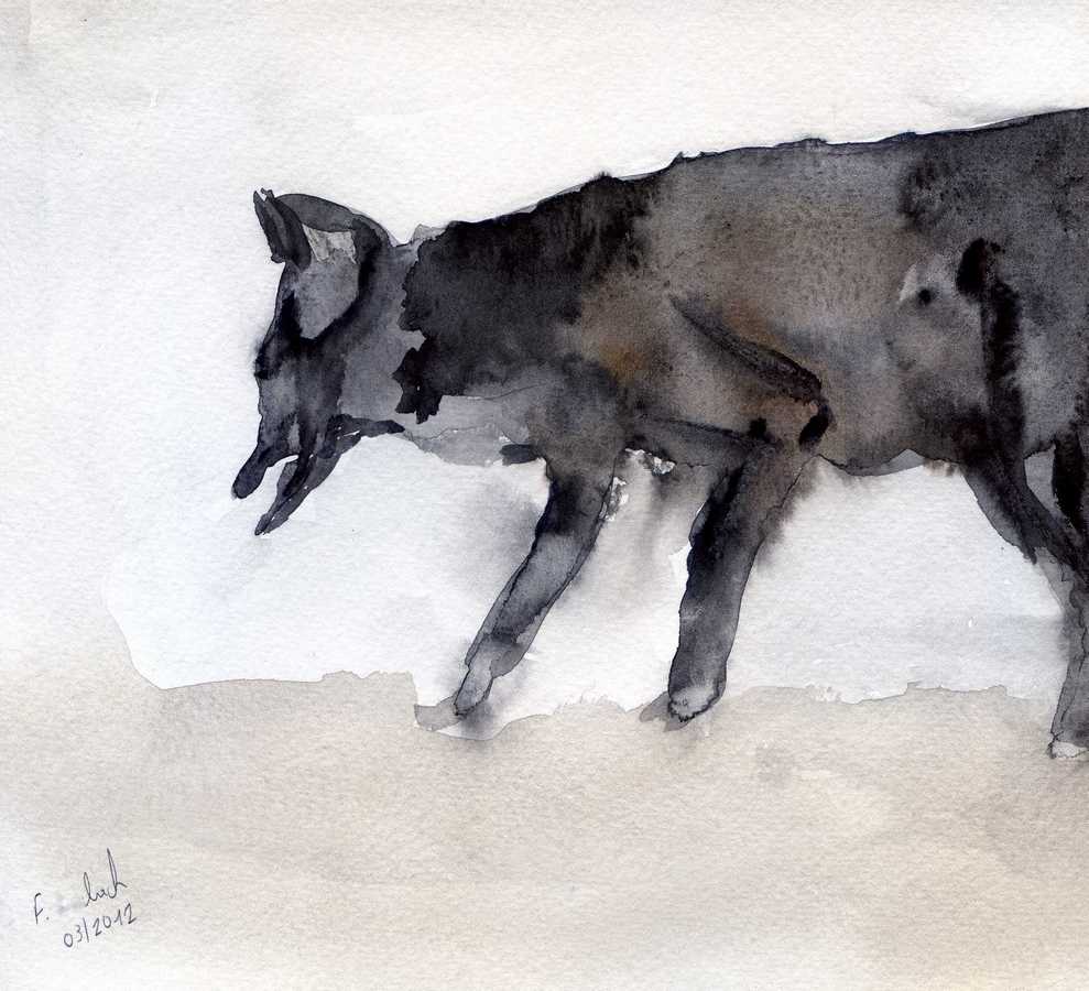 Mercredis de la poésie du 26&nbsp;janvier