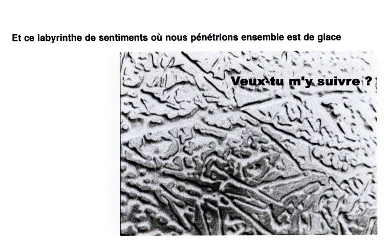 Copyright Frédéric Bach