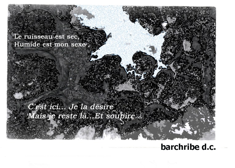 Copyright Frédéric Bach