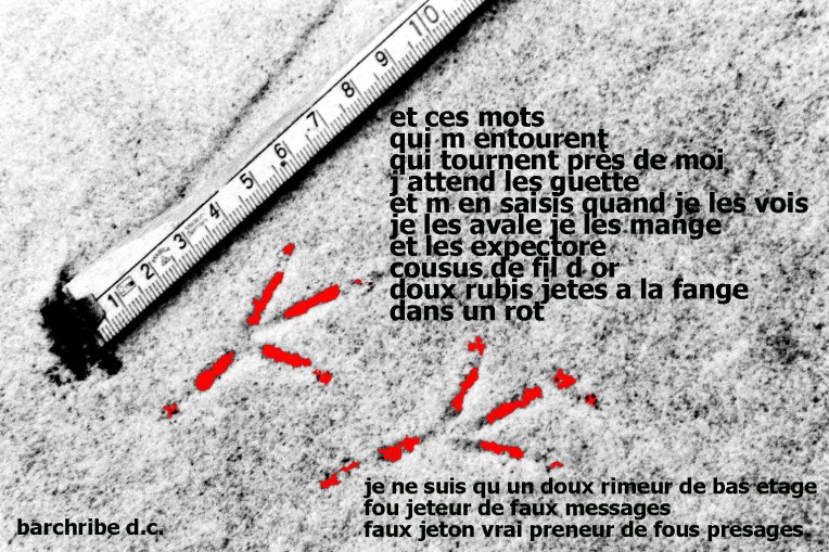 Copyright Frédéric Bach