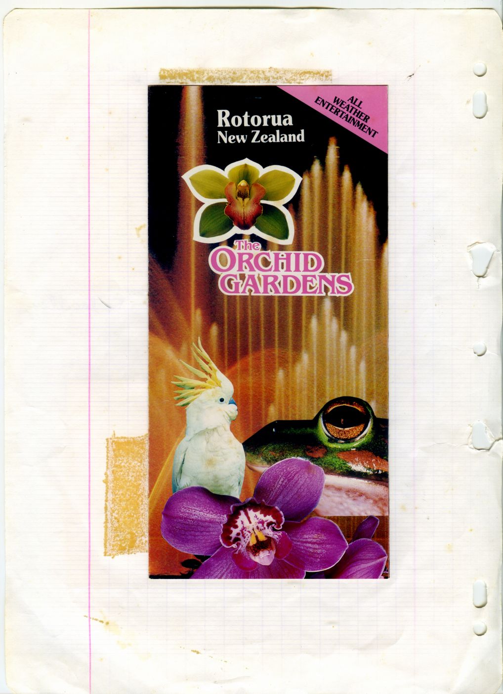Rotorua – orchidées et&nbsp;geysers